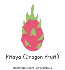 Dragon fruit flat vector illustration. Dragon fruit or pitaya cartoon clipart style. Also known as pitahaya, strawberry pear, or Selenicereus undatus. Tropical and Exotic fruit concept