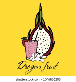 Dragon fruit with flowers and monstera leaf. Vector illustrations.