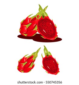 Dragon Fruit Fresh Realistic Vector Illustration