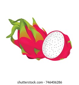 Dragon Fruit Fresh Realistic Vector