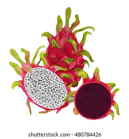 Dragon fruit. freshness pitaya vector illustration. 