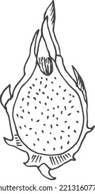 Dragon fruit half cut sketch. Tropical food icon