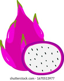 Dragon fruit in half, illustration, vector on white background.