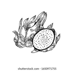 Dragon fruit with half in line art style.