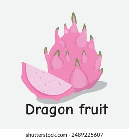 Dragon Fruit Hand Drawn Illustration on White Background