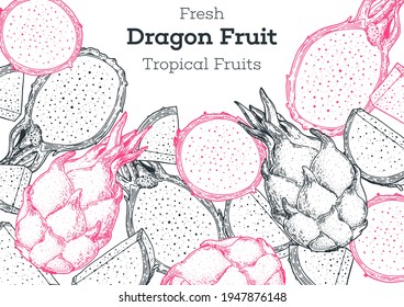 Dragon fruit hand drawn package design. Vector illustration. Sketch for design, brochure illustration. Vintage retro design. Pitaya frame illustration. Can used for packaging design.