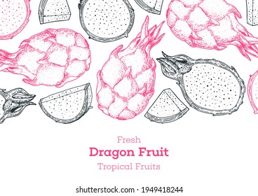 Dragon fruit hand drawn package design. . Sketch for design. Vintage retro design. Pitaya frame illustration. Hand drawn dragon fruit design template. Organic fresh food vector illustration.