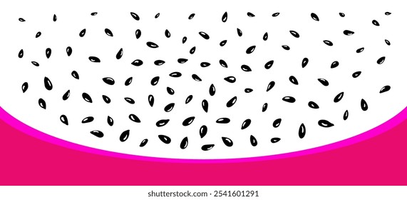 Dragon fruit. Healthy sweet, vegans. Vector cactus on white background. Tropical exotic plant. Food ingredient for dessert decor, cooking book