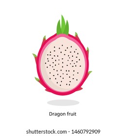 Dragon fruit, healthy fruit vector illustration isolated on white background.
