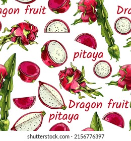 Dragon Fruit, Hylocereus, Pitahaya, Pitahaya, Hand drawn vector illustration of pitahaya stalk, with fruit isolated on white background, set, whole, half, fruit slice seamless pattern