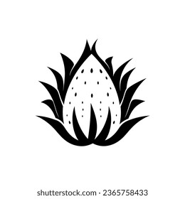 Dragon Fruit icon isolated on white background