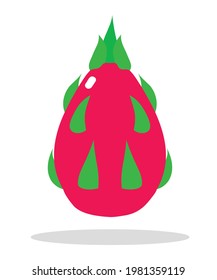 Dragon fruit icon logo vector illustration isolated on white background 