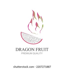 dragon fruit icon modern design vector illustration