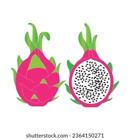 Dragon fruit icon vector illustration design template