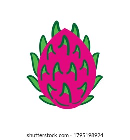 símbolo del vector del icono del fruto del dragón ilustraciones aisladas fondo blanco