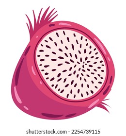 dragon fruit icon white background