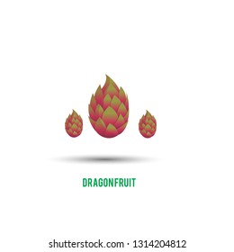 dragon fruit icon.modern design.vector illustration