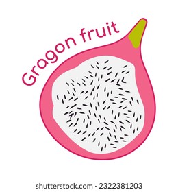 Dragon Fruit illustration. Half Pink Pitaya with sweet white flesh. Tropical exotic fruit of the harvest. Title text. Vegan low calorie food. Isolated. Vector illustration