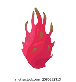 Dragon fruit illustration isolated on white