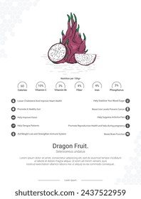 Dragon Fruit illustration. Ready to print, easy to edit, vector file, ready to use. Dragon Fruit - Selenicereus undatus illustration with nutrition and benefits wall decor Ideas