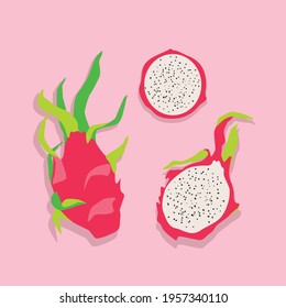  Dragon fruit illustration. Trendy vector illustration on pink background