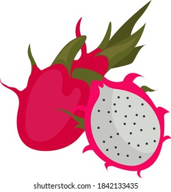 Drachenfrucht, Illustration, Vektorgrafik auf weißem Hintergrund