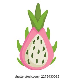 dragon fruit isolated icon design