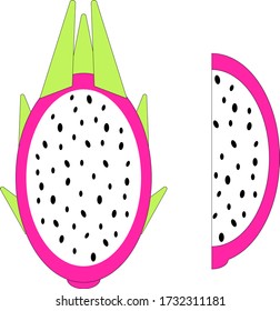 Dragon fruit isolated on white background. Tropical vector illustration.