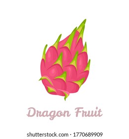 Frutos del dragón Aislados sobre un fondo blanco. Ilustración vectorial de frutas tropicales en estilo plano de dibujos animados. Icono de Pitaya.