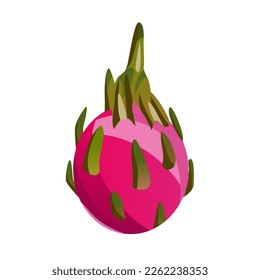 Dragon fruit isolated on a white background. Set realistic fruit. Macro icon juicy pitahaya and slices. Exotic sweet fruits.