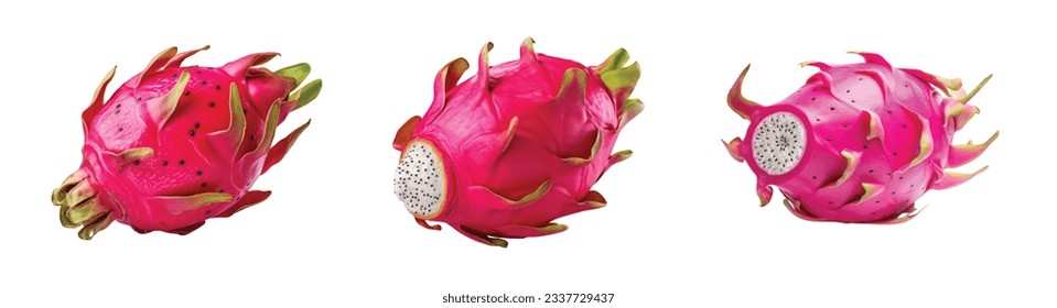 Dragon fruit isolated on white vector set