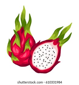 Dragon fruit isolated on white background. Illustration of tropical plant.