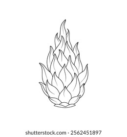 
Dragon fruit with leaf Continuous line art flat vector illustration