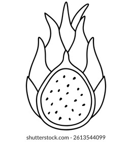 Dragon Fruit Line Art Vector for Kids Hand Drawing and Learning – Simple Tropical Fruit Outline Illustration