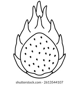 Dragon Fruit Line Art Vector for Kids Hand Drawing and Learning – Simple Tropical Fruit Outline Illustration