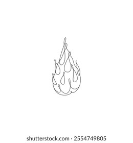 Dragon Fruit line drawing flat vector design