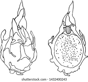 
dragon fruit line, graphics, vector