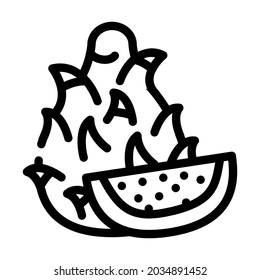 dragon fruit line icon vector. dragon fruit sign. isolated contour symbol black illustration
