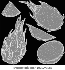 dragon fruit fruit linear illustration, vector
