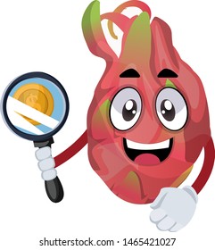 Dragon fruit with magnifying tool, illustration, vector on white background.