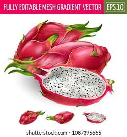 Dragon fruit on white background. Vector illustration