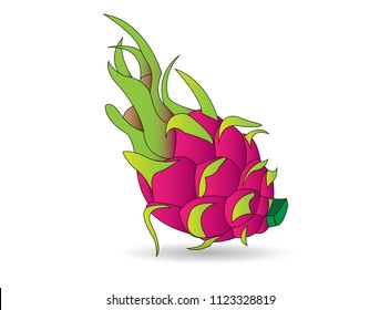 Dragon fruit on white background.
