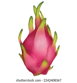 dragon fruit on white background