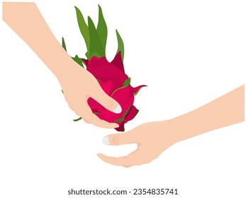 Dragon fruit on a white background.