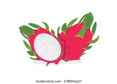 
Dragon fruit, one tropical fruit, another half, vector illustration on a white background