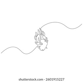 Dragon fruit outline drawing illustration. Continuous line draw fresh fruit vector.