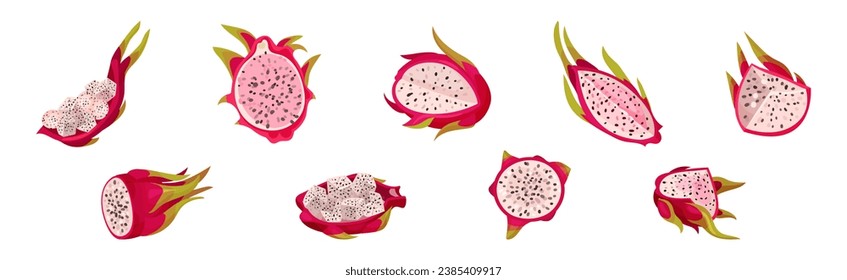 Dragon Fruit with Pink Cactus Skin and Fleshy Pulp Vector Set