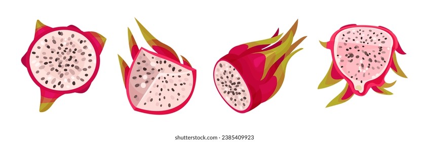 Dragon Fruit with Pink Cactus Skin and Fleshy Pulp Vector Set