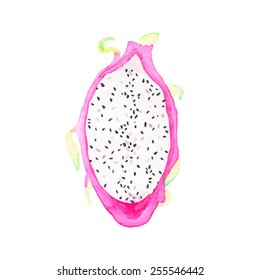 Dragon fruit or pitahaya. Watercolor half of pitaya on the white background, aquarelle. Vector illustration. Hand-drawn fruit decorative element useful for invitations, scrapbooking, design. 