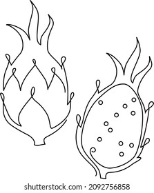 Dragon fruit. Pitaya. Continuous line drawing. Vector illustration.
